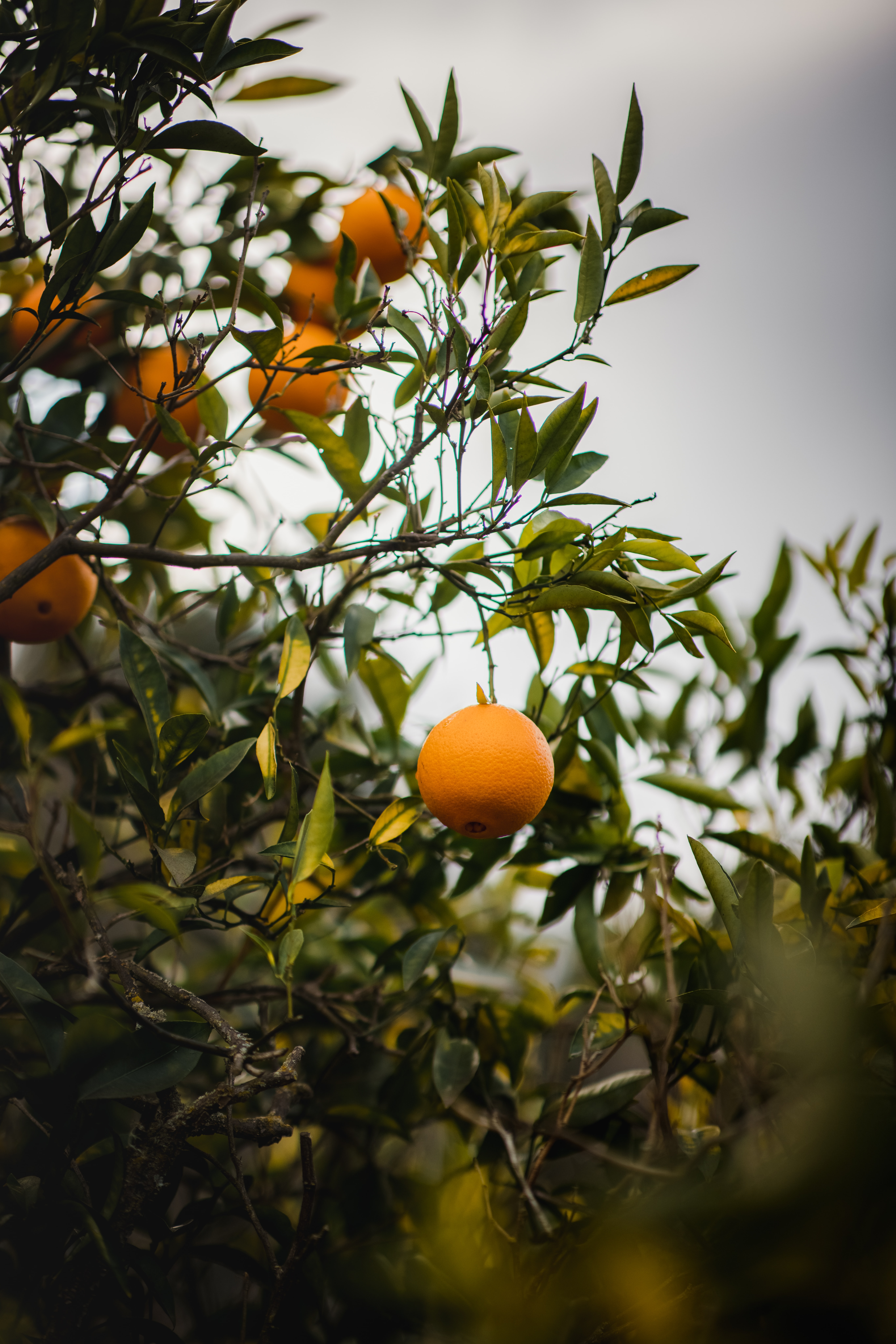 jason leung pJm0p9yPPaw unsplash
